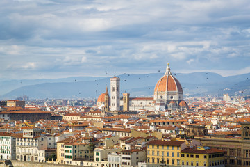 Fototapeta na wymiar The birds over the Dome, Florence, Tuscany, Italy