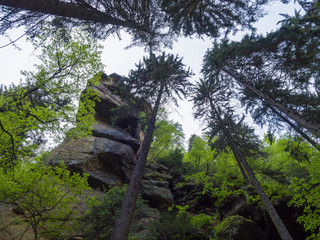Sächsische Schweiz Elbsandstein Sachsen