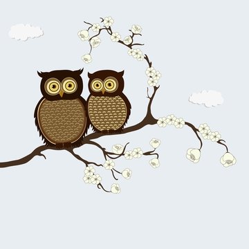 Cute cartoon pair of owls on branch