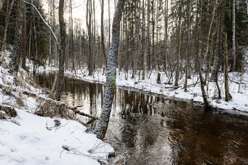 frozen countryside scene in winter