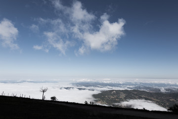 A lonely tree under a big, blue sky with some clouds, and above a sea of fog 