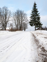 Obraz premium frozen countryside scene in winter