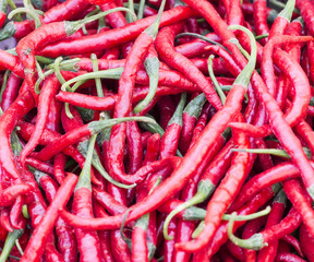 fresh red chili pepper
