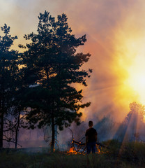 Obraz na płótnie Canvas Coniferous forest in fire