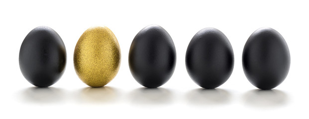 One golden egg among black eggs in a row isolated on white background