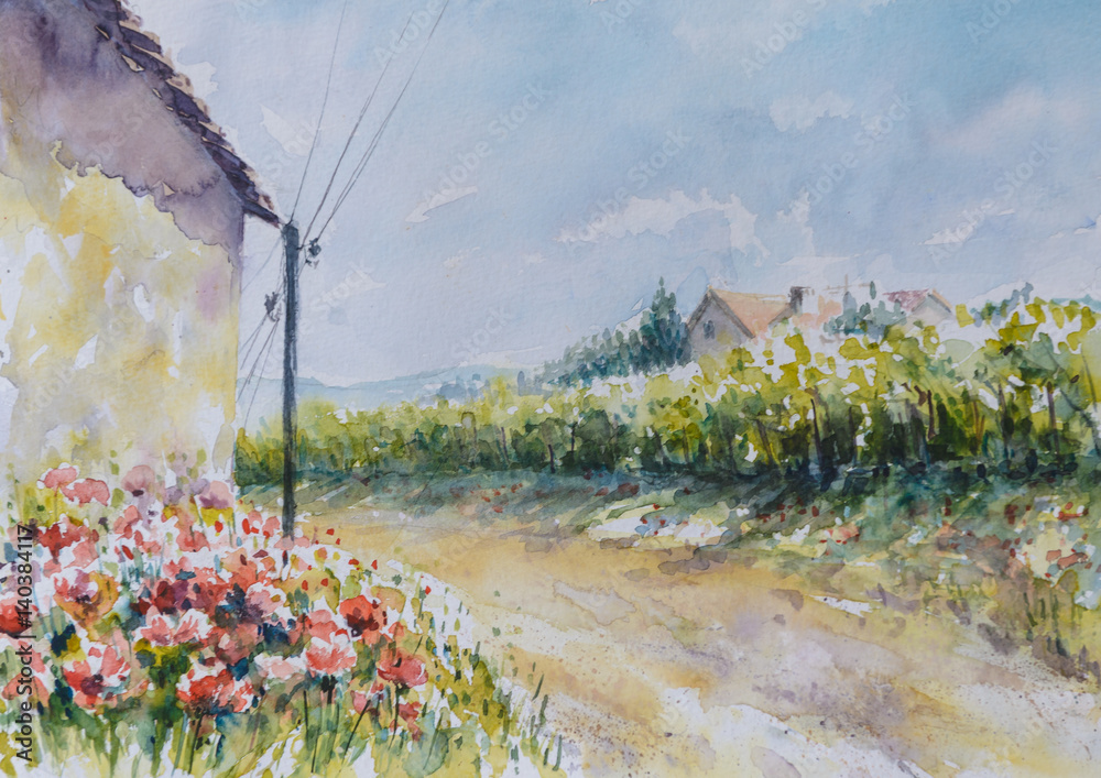 Wall mural poppy flowers close to the country road.picture created with watercolors.