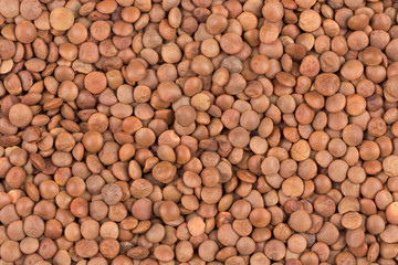Picture of brown lentils over flat surface