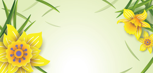 Vector illustration. Spring background with daffodils. Template for the design of congratulations, advertising messages, invitations, sales. Layout for Easter cards, posters, banners.