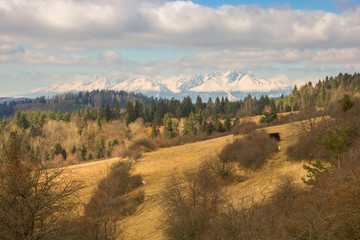 Spring view of the High Tatras, Slovakia. Beautiful mountain in the foreground with forest and trees.