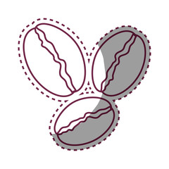delicious coffee seeds icon vector illustration design