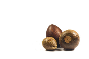 avocado seeds on a white background