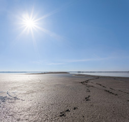 Obraz premium wet dirty swamp under a sparkle sun