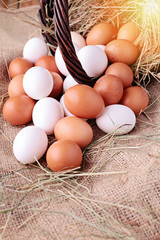 fresh eggs