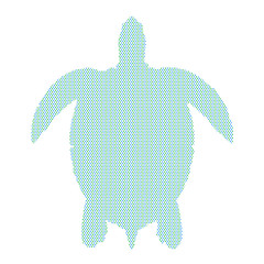 Textured sea turtle on isolated on white