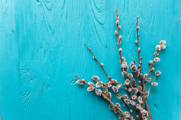 Easter concept , branches twigs on a wooden background