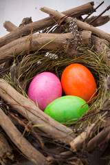 Easter eggs in the nest. Spring discount card.