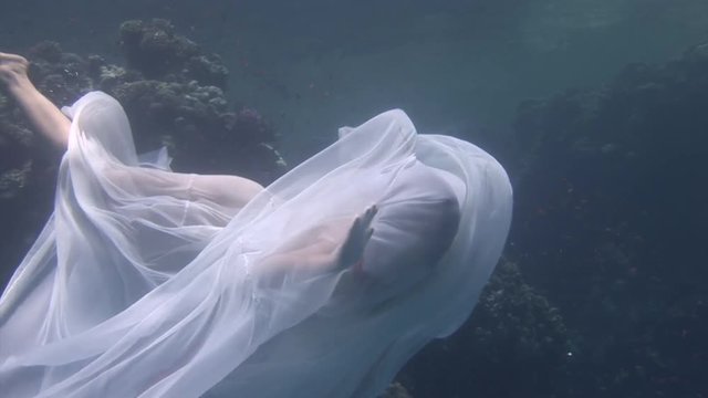 Underwater model young girl free diver in white transparent veil in Red Sea. Filming a movie at camera. Extreme sport in marine landscape, coral reefs, ocean inhabitants.