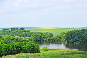 Green landscape with river and tree