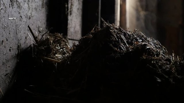 Heat evaporates from nitrogen rich soil fertilizer slow motion 1080p FullHD footage - Animal feces and organic bedding straw in barn slow-mo 1920X1080 HD video.mov
