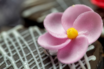 Delicious biscuit cake with chocolate