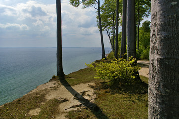 Clifftop with forest above the beach at the Baltic seashore, Denmark