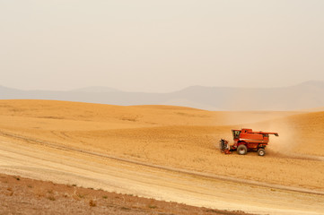 Fototapeta premium Combine harvesting crops on Palouse Hills in Washington state 