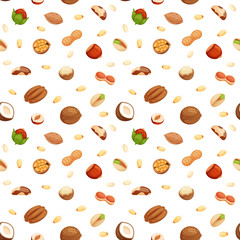 Seamless pattern with illustrations of nuts vector.