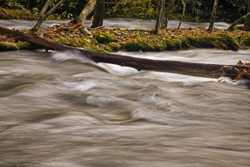 Stream, Oconaluftee area, Great Smoky Mountains NP