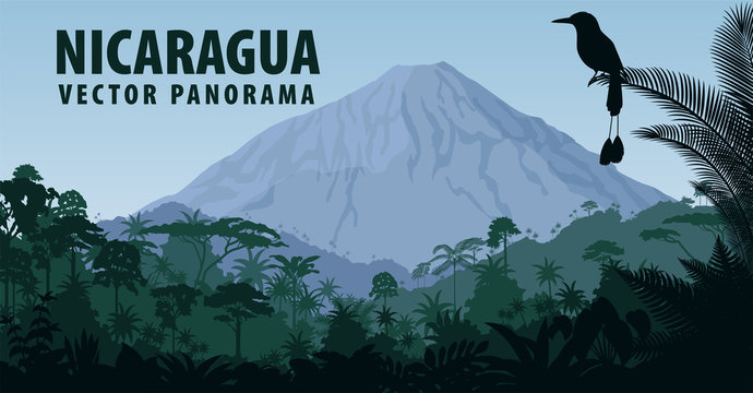 Vector Panorama Of Nicaragua With Vulcano In Jungle Rainforest And Turquoise Browed Motmot 