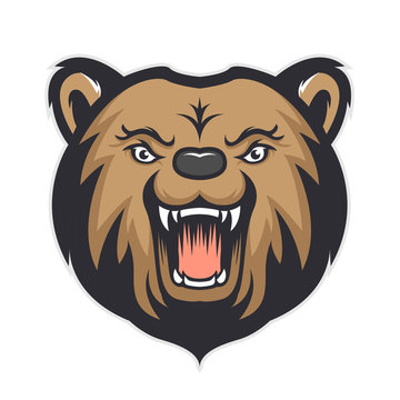 Bear head mascot