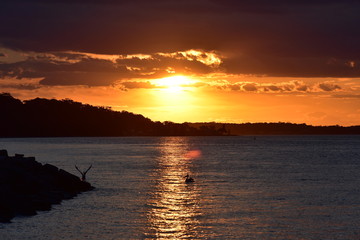 Quiet sunset in Nelson Bay with Australian pelican resting on calm water and taking off.