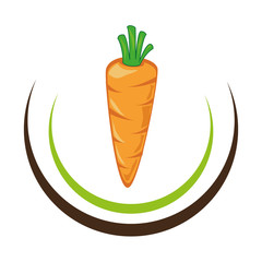 fresh vegetable healthy food vector illustration design