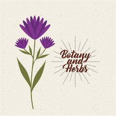 cute flower icon. botany and herbs concept. colorful design. vector illustration