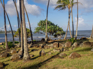Fototapeta na wymiar Ancient Hawaiian temple, or Heiau, located on the eastern shore of Kauai close to the the mouth of the Wailua River.