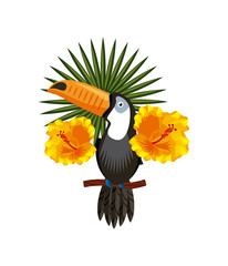 Fototapeta na wymiar toucan with tropical flowers and leaves over white background. colorful design. vector illustration