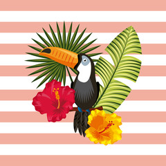Naklejka premium toucan with tropical flowers and leaves over striped pink and white background. colorful design. vector illustration