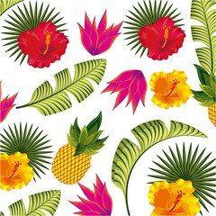 Fototapeta na wymiar tropical flowers and leaves over white background. colorful design. vector illustration