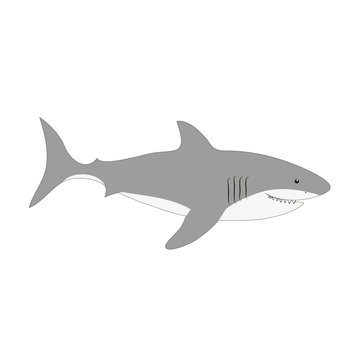 Cute white shark vector illustration isolated on white