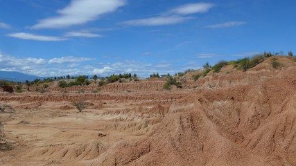 Eroding landscape and fragile soil baking in the midday sun in the Tatacoa desert, Colombia. 