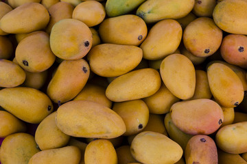 Pile of delicious yellow mango fruits seen from top  at marketplace