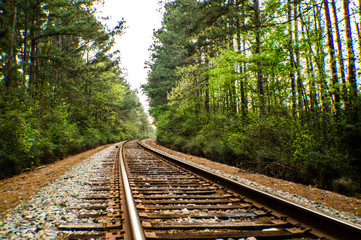 Texas Railroad in Springtime