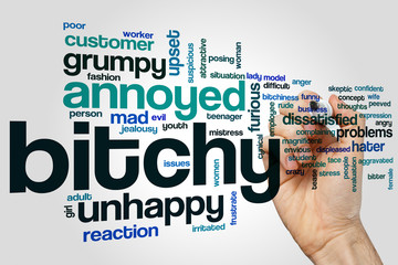 Bitchy word cloud