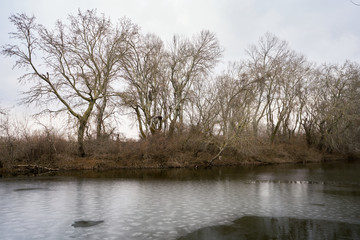 Obraz premium Part of the delta of river Evros, Greece