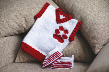 Fototapeta na wymiar Handmade white and red knitted baby's bootees and baby vest with a dog paw embroidery