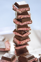 Dark chocolate with berry yoghurt filling 