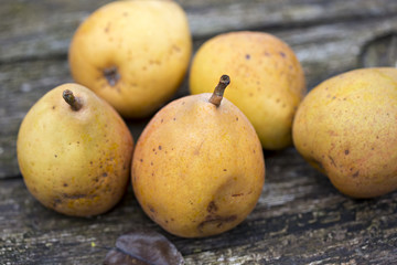Pears 