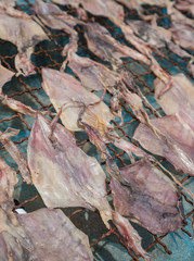 Dried Squid on an old wired frame