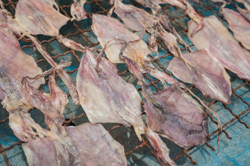 Dried Squid on an old wired frame