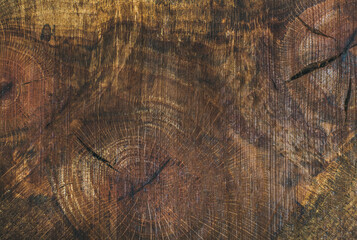 Texture saw cut of the wood logs. Almond wood slab board texture and background