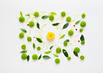 Pattern with roses, petals of chrysanthemum flowers, ficus leaves and ripe rowan on white background. Overhead view. Flat lay.
